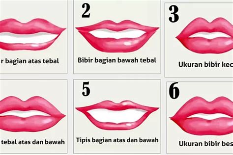 pepek pink|9 Bentuk Vagina Dilihat dari Posisi Labia (Bibir Vagina)